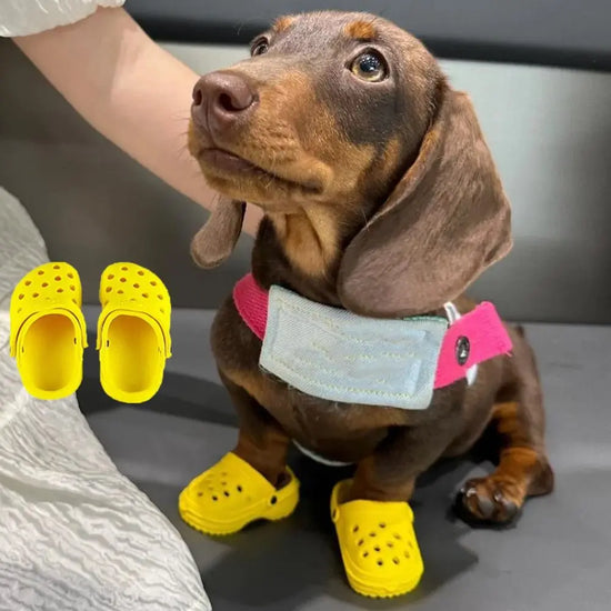 1 Pair Dog Sandal Slipper Non-slip Pet Sandals Soft-soled Breathable Dog Hole Shoe Wear-resistant EVA Dog Rain Boots Walking