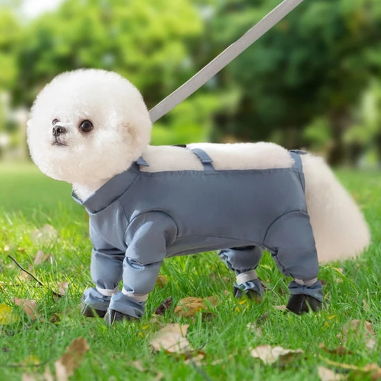 Pet Dog Shoe Gaiters Adjustable Suspender Boots And Booties Versatile Wrap Around Pants And Dirt Proof Pet Pants For Going Out