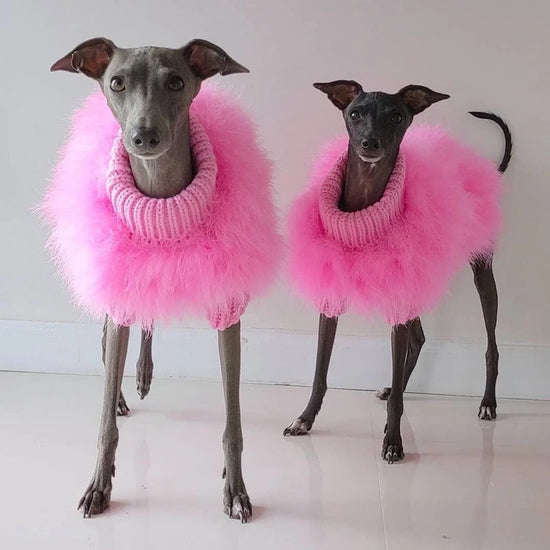 Pet Colorful Sweater Puppy Clothes Designer Dog Clothes Small Dog Cat Luxury Sweater Schnauzer Yorkie Poodle Core Yarn Fur Coat